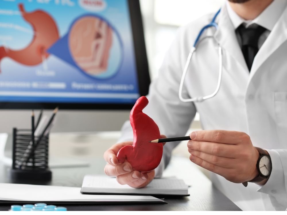 Especialista detalha estrutura estomacal durante consulta com gastroenterologista em Florianópolis, usando recurso visual em consultório.