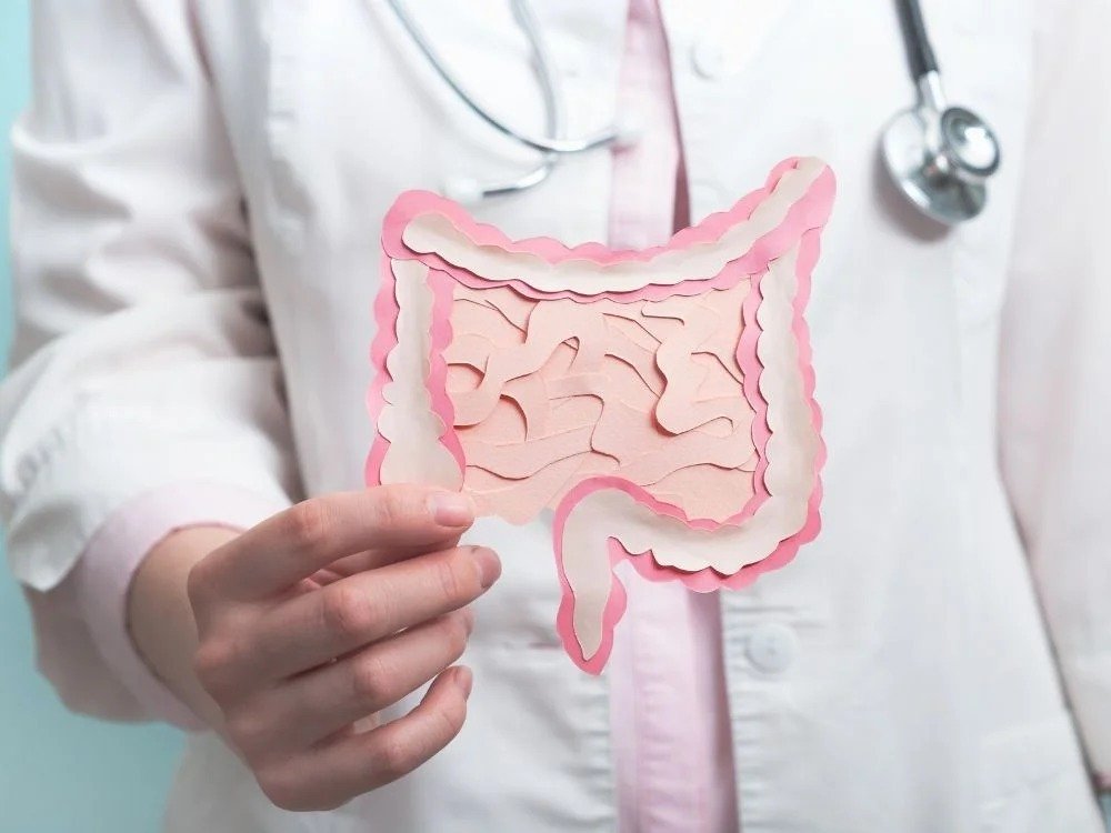 Médica segurando modelo do intestino durante explicação sobre transplante de fezes e saúde da microbiota intestinal.