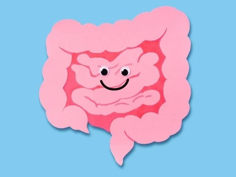 Desenho ilustrativo de intestino saudável relacionado aos benefícios do transplante de fezes para equilíbrio intestinal.