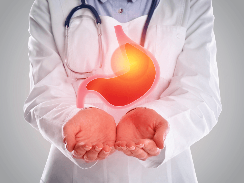 Profissional de saúde segura uma representação anatômica do estômago com área avermelhada, ilustrando a inflamação gástrica.