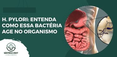 H. Pylori - Entenda como essa bactéria age no organismo