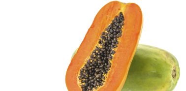 USUYBlog-post-alimentos_CapaBlog