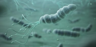 USUYBlog-post-hpylori_CapaBlog