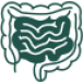 Ultrassom Intestinal